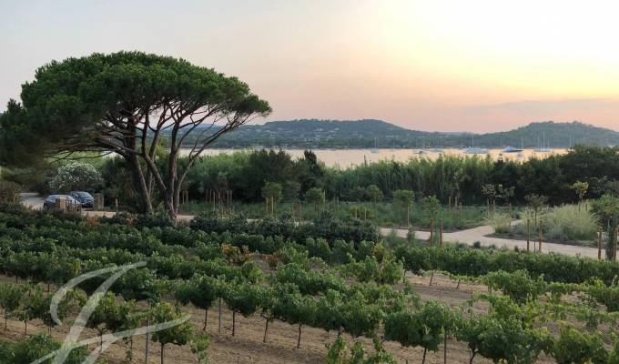 Arrendamento de curta duraçāo Propriedade Saint-Tropez