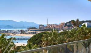 Eventos Apartamento Cannes