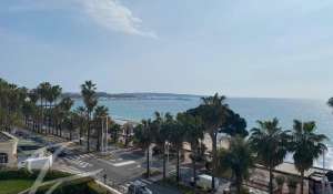 Eventos Apartamento Cannes