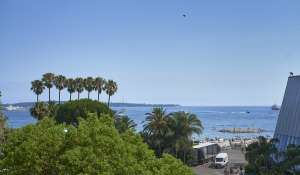 Venda Apartamento Cannes