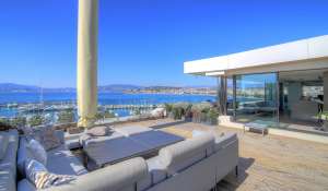 Venda Apartamento Cannes