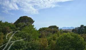 Venda Apartamento Cannes