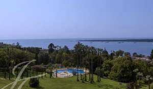 Venda Apartamento Cannes