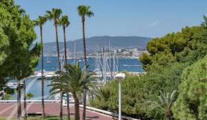 Venda Apartamento Cannes