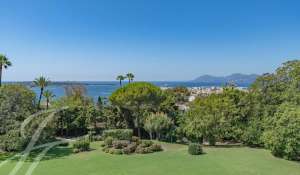 Venda Apartamento Cannes