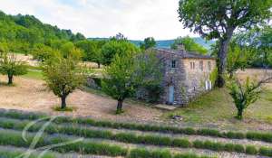 Venda Propriedade Saignon